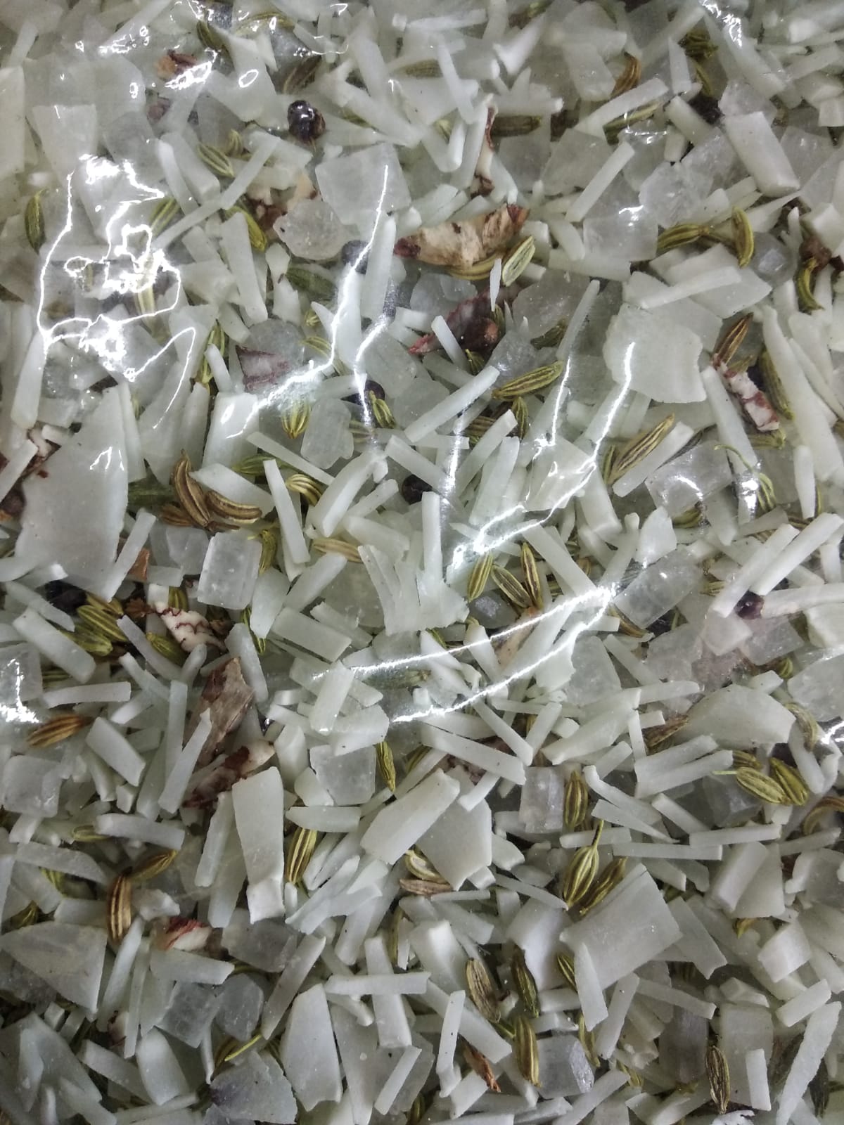 WhatsApp Image 2024-01-12 at 12.48.50 PM